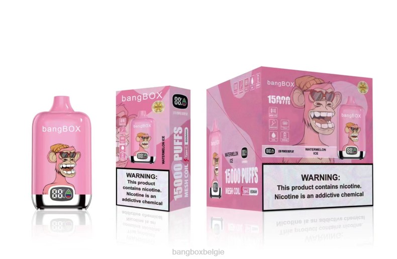 Bang Beach Vape Review - Bang Box 15000 trekjes watermeloen ijs 66PL45