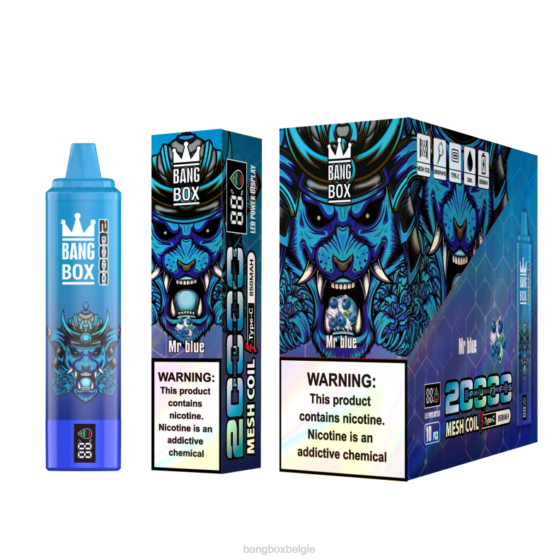 Bang Beach Vape Review - Bang Box 20.000 trekjes slim scherm meneer blauw 66PL60